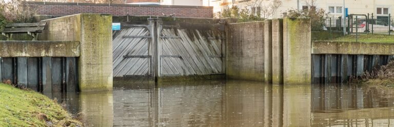 Kampen in solitaria: guida completa