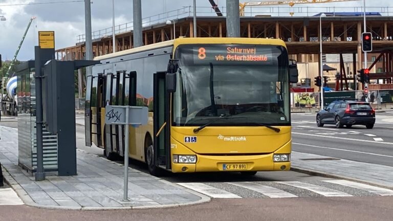 Horsens in solitaria: guida completa