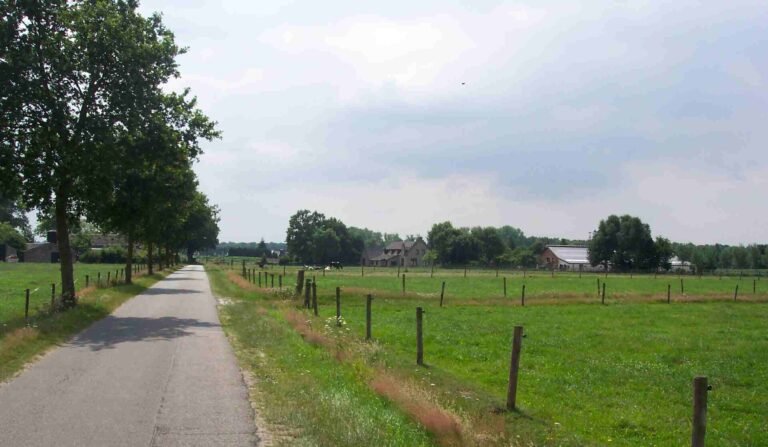 Aalst in solitaria: guida completa