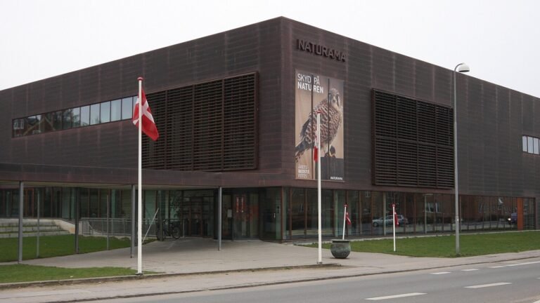 Svendborg in solitaria: guida tra porto, isole e musei