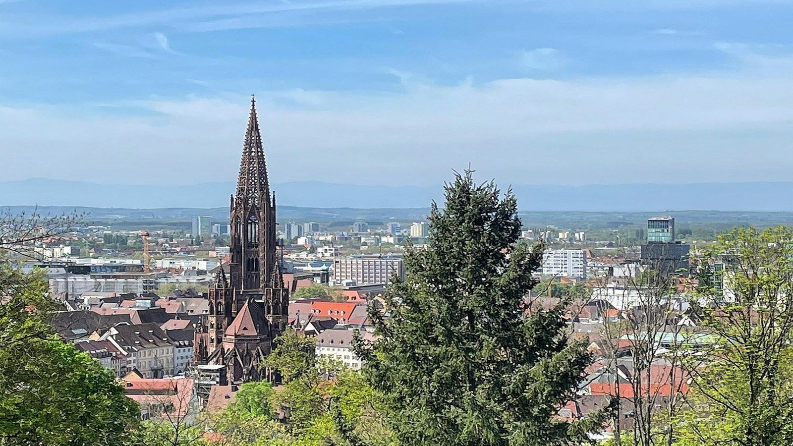 Panoramic view over Freiburg old town from Schlossberg hill