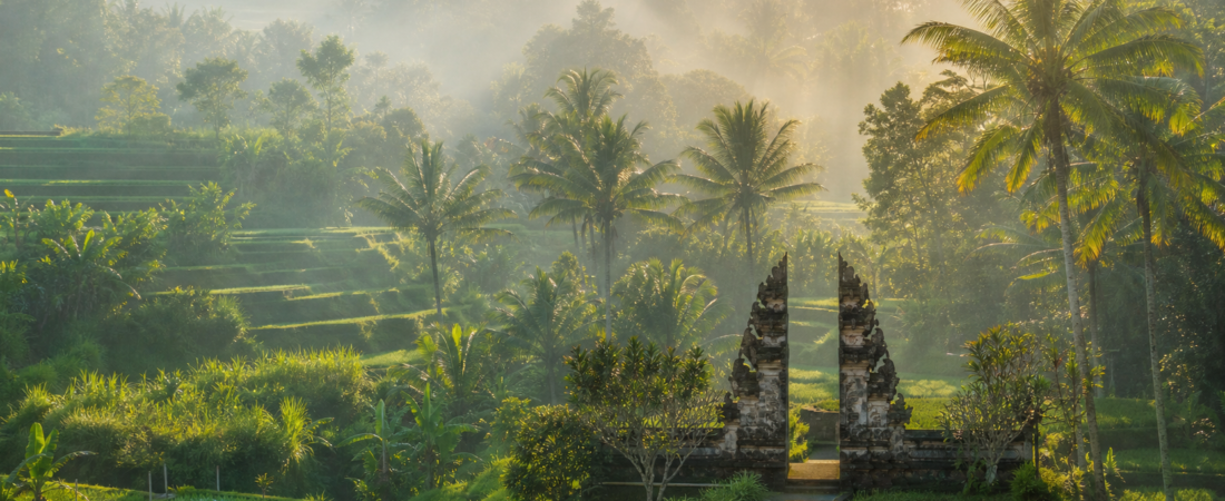 Guida Completa a Bali e Indonesia: Spiagge, Templi, Cultura e Consigli 2025