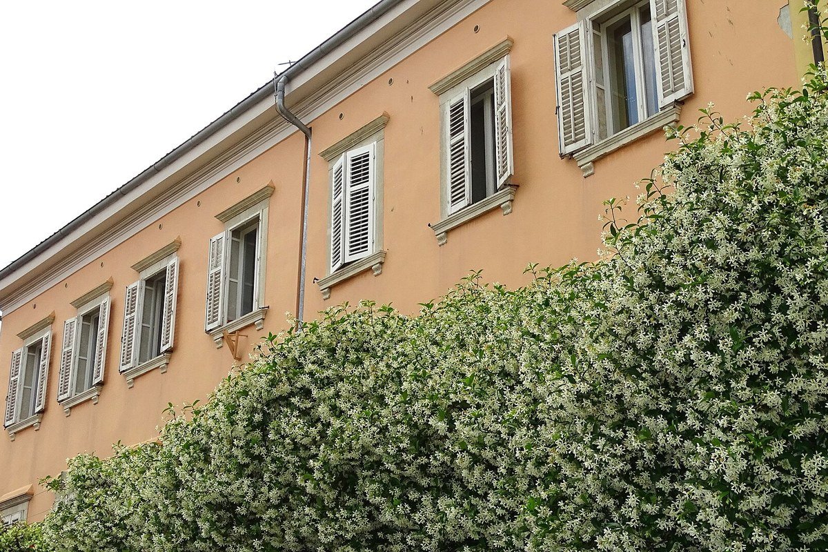 La marina di Capodistria con le barche
