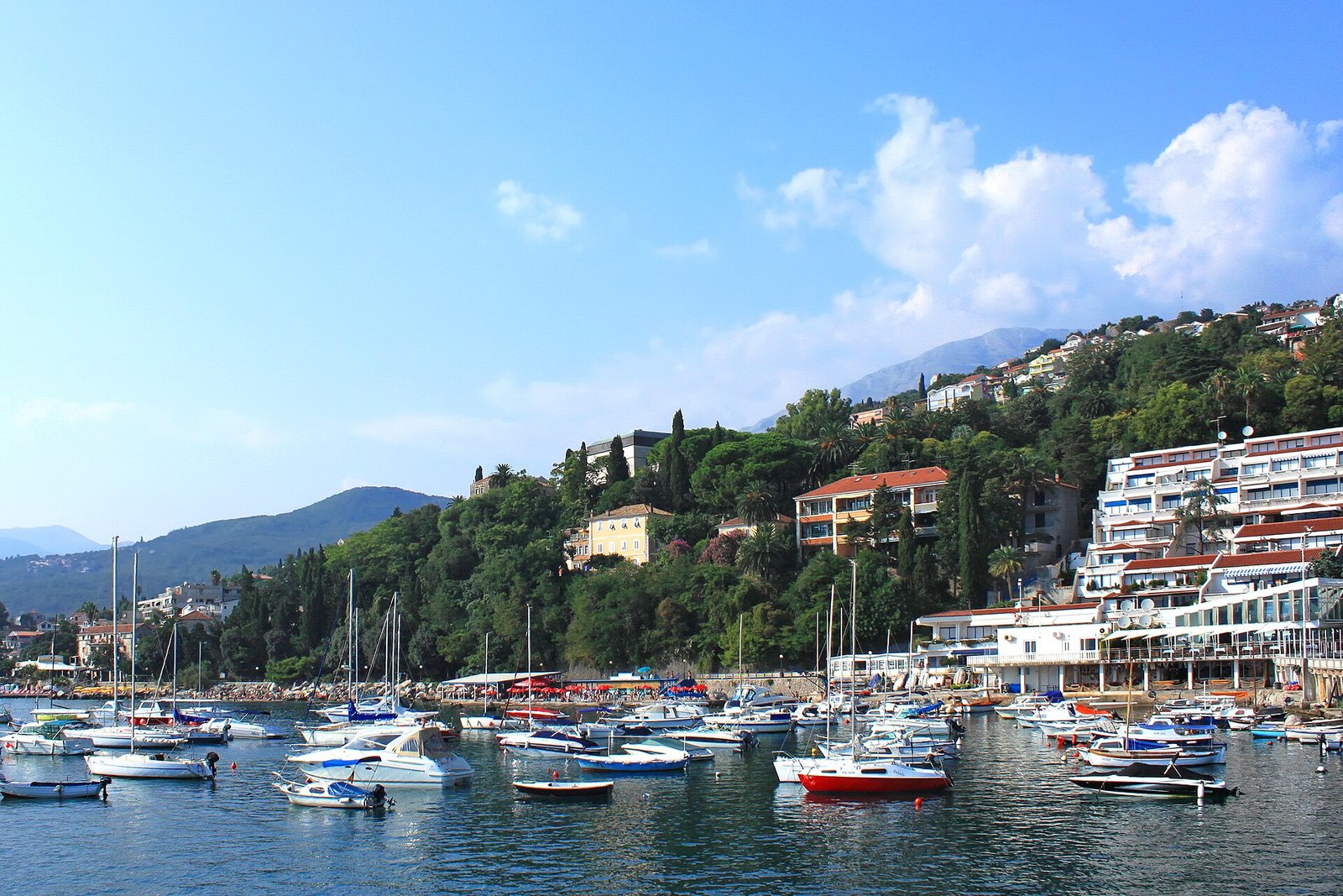 Herceg Novi in solitaria: guida completa