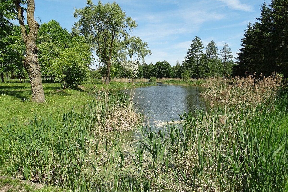 Stagno e sentiero nel parco Pašešupio di Marijampolė