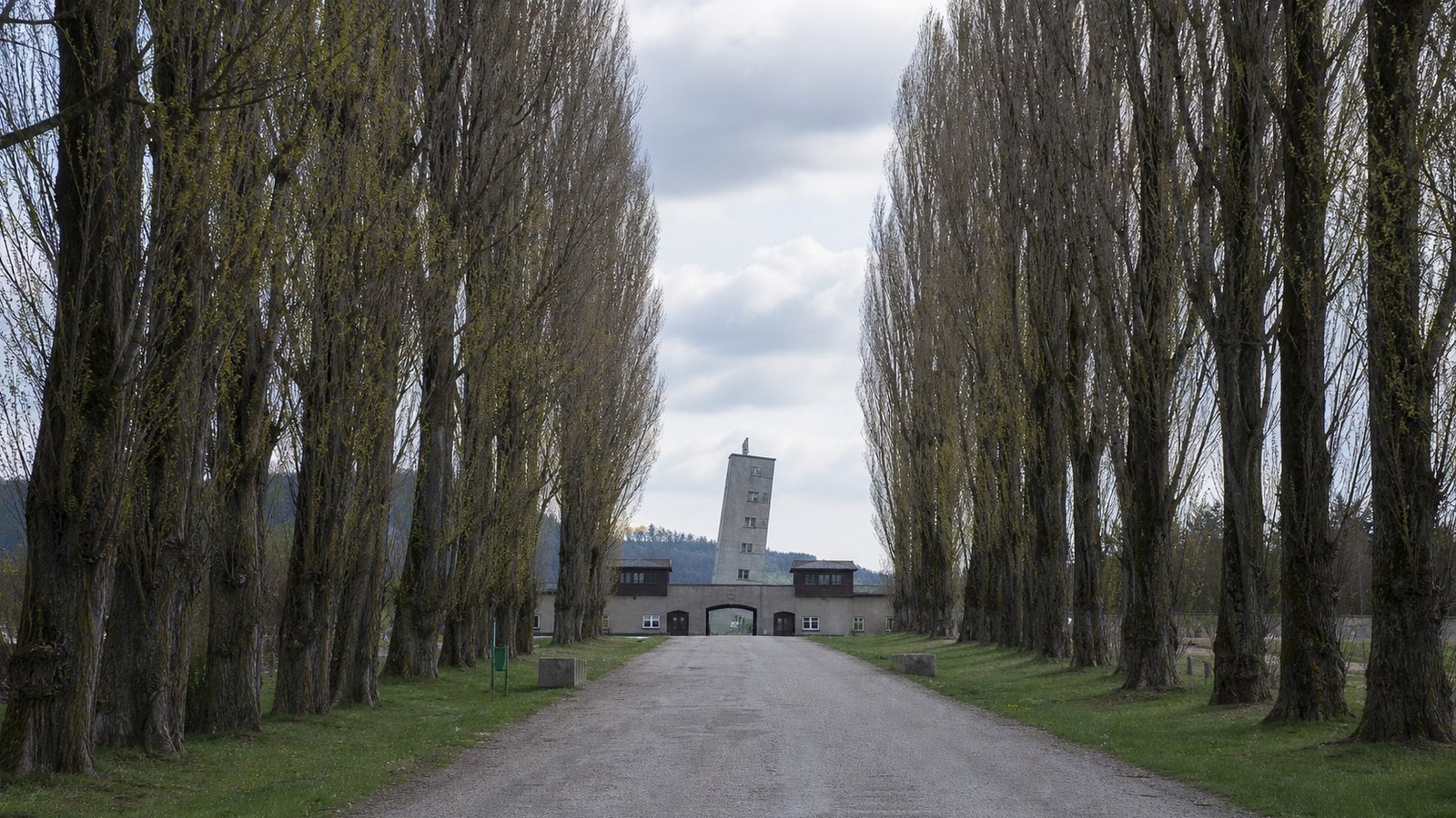 La sala rococò ovale della biblioteca Duchessa Anna Amalia di Weimar