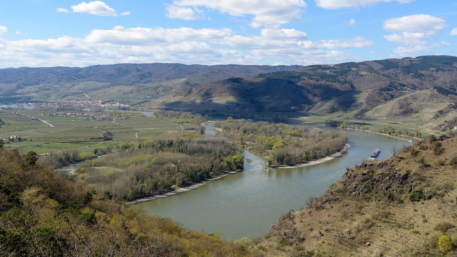 Danube river, vineyards and apricot orchards in the Wachau valley near Krems