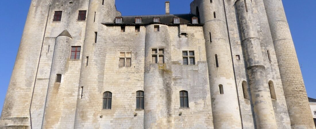 Niort in solitaria: guida premium tra Donjon, musei e Marais Poitevin