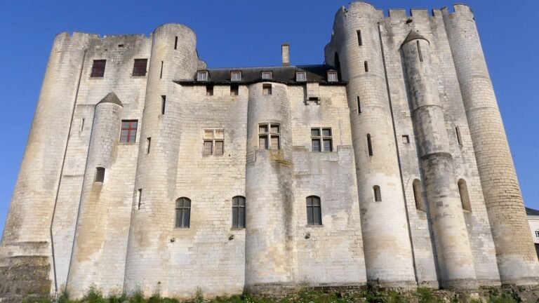 Niort in solitaria: guida premium tra Donjon, musei e Marais Poitevin