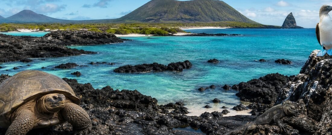 Errori da evitare a Galapagos