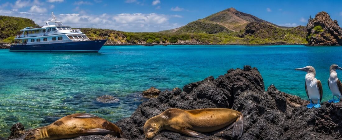 Galapagos: crociera e natura selvaggia in solitaria sulle or