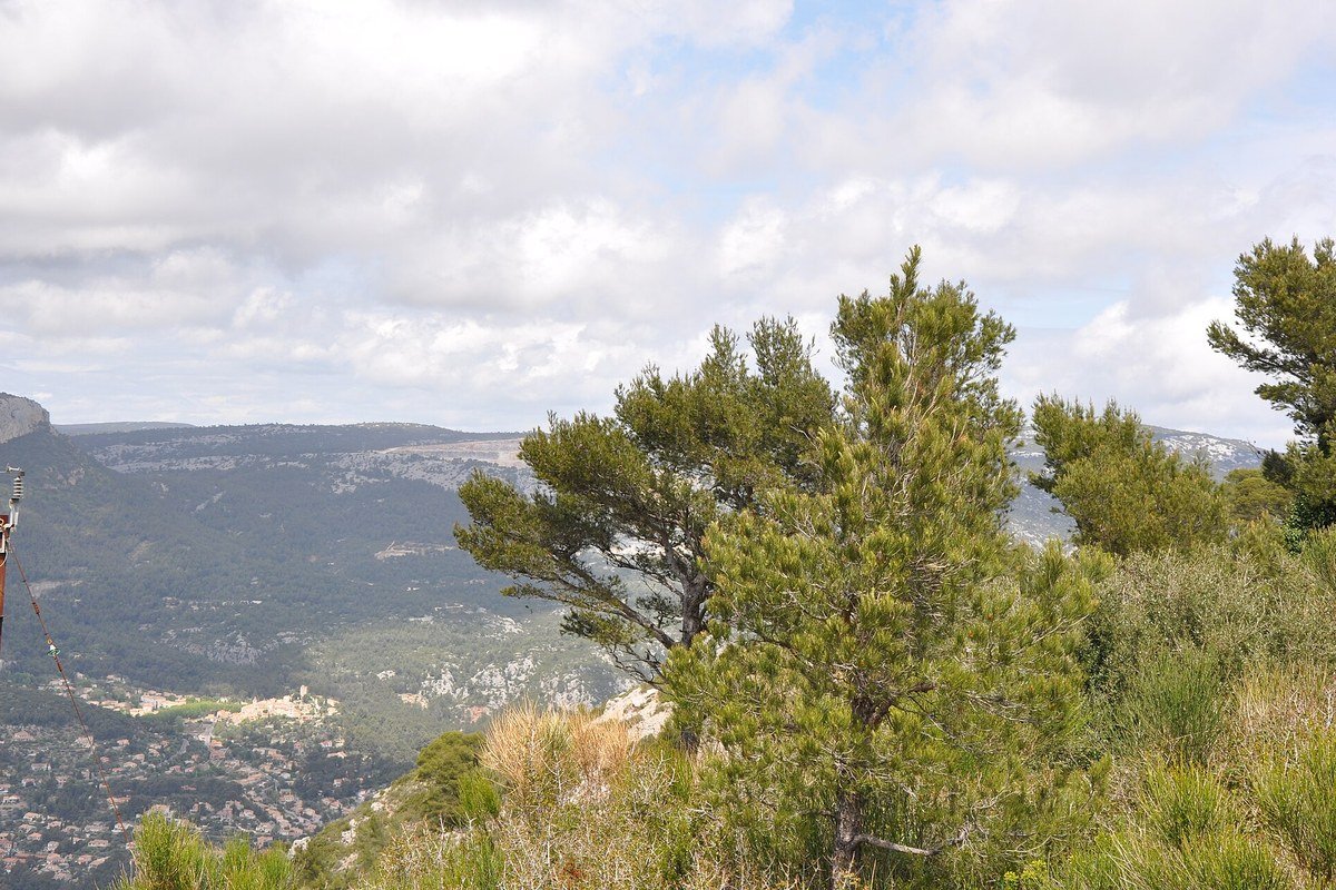 Mont Faron