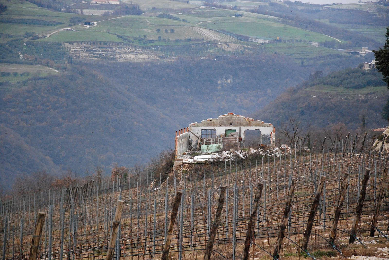 Le colline della Valpolicella