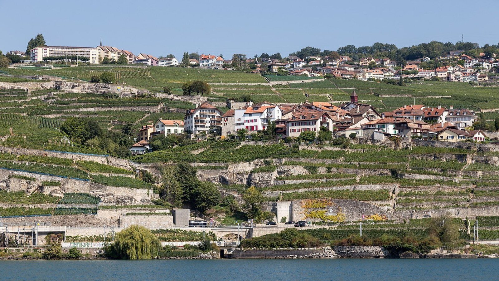 Lavaux vineyards