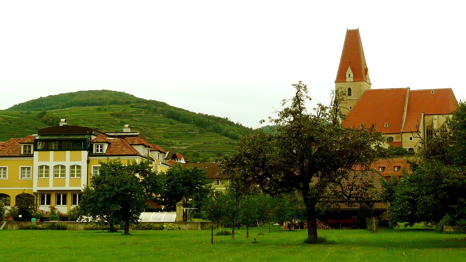 Terraced vineyards of the Wachau wine trail overlooking the Danube river near Weissenkirchen