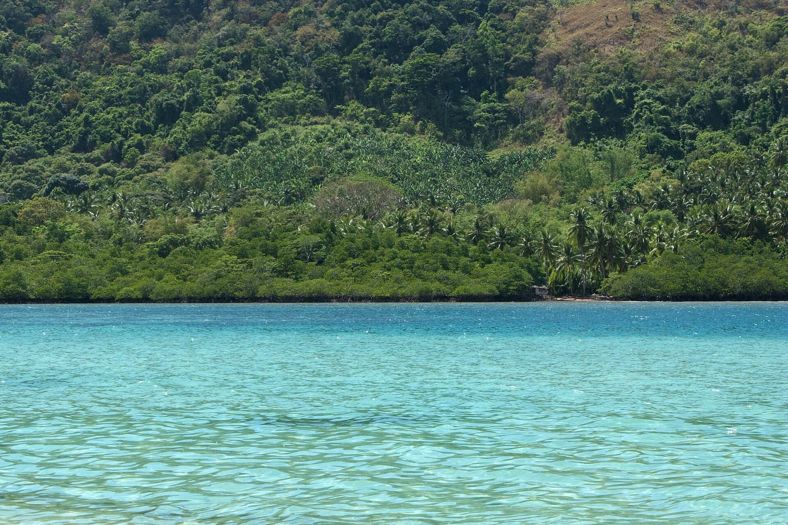 Palawan e Siargao: le isole più belle delle Filippine per ch