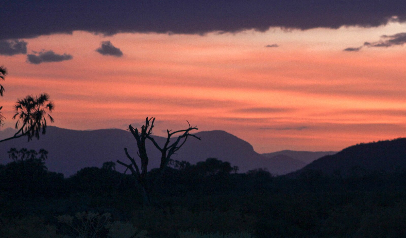 Weekend in Kenya: safari a budget ridotto