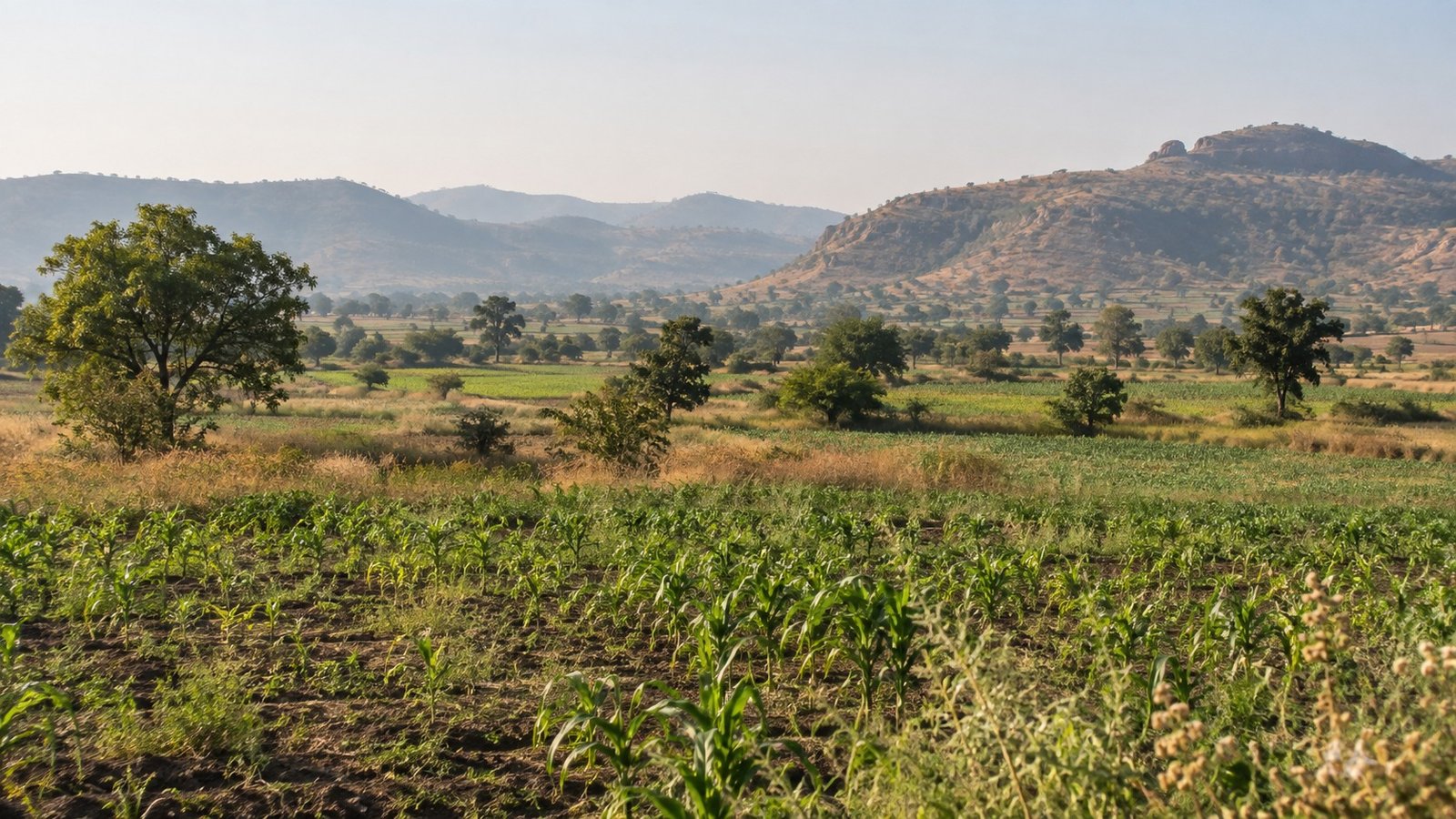 Amravati: colline e villaggi