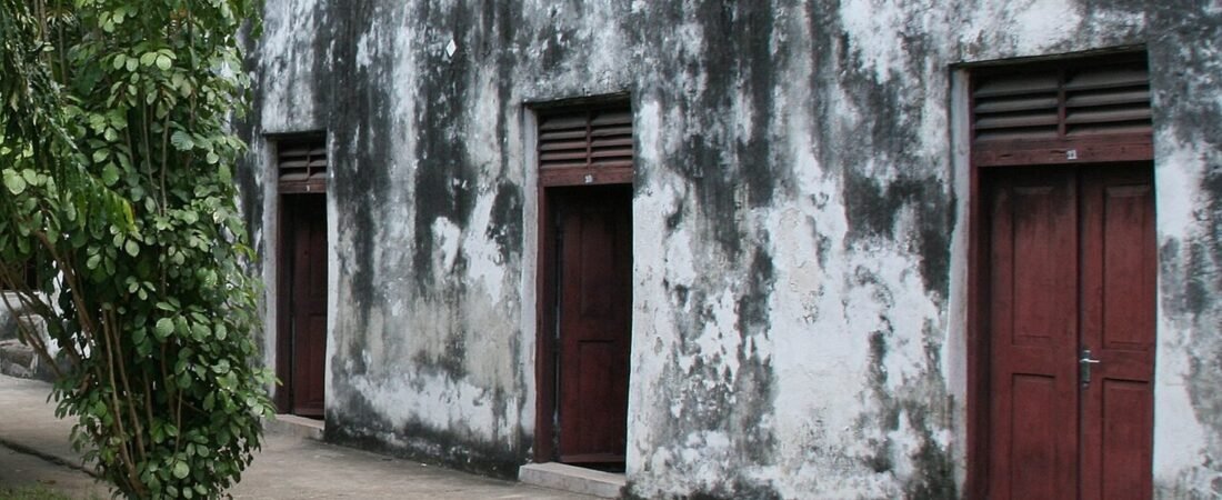 Bagamoyo in solitaria: storia swahili, rovine e costa della Tanzania