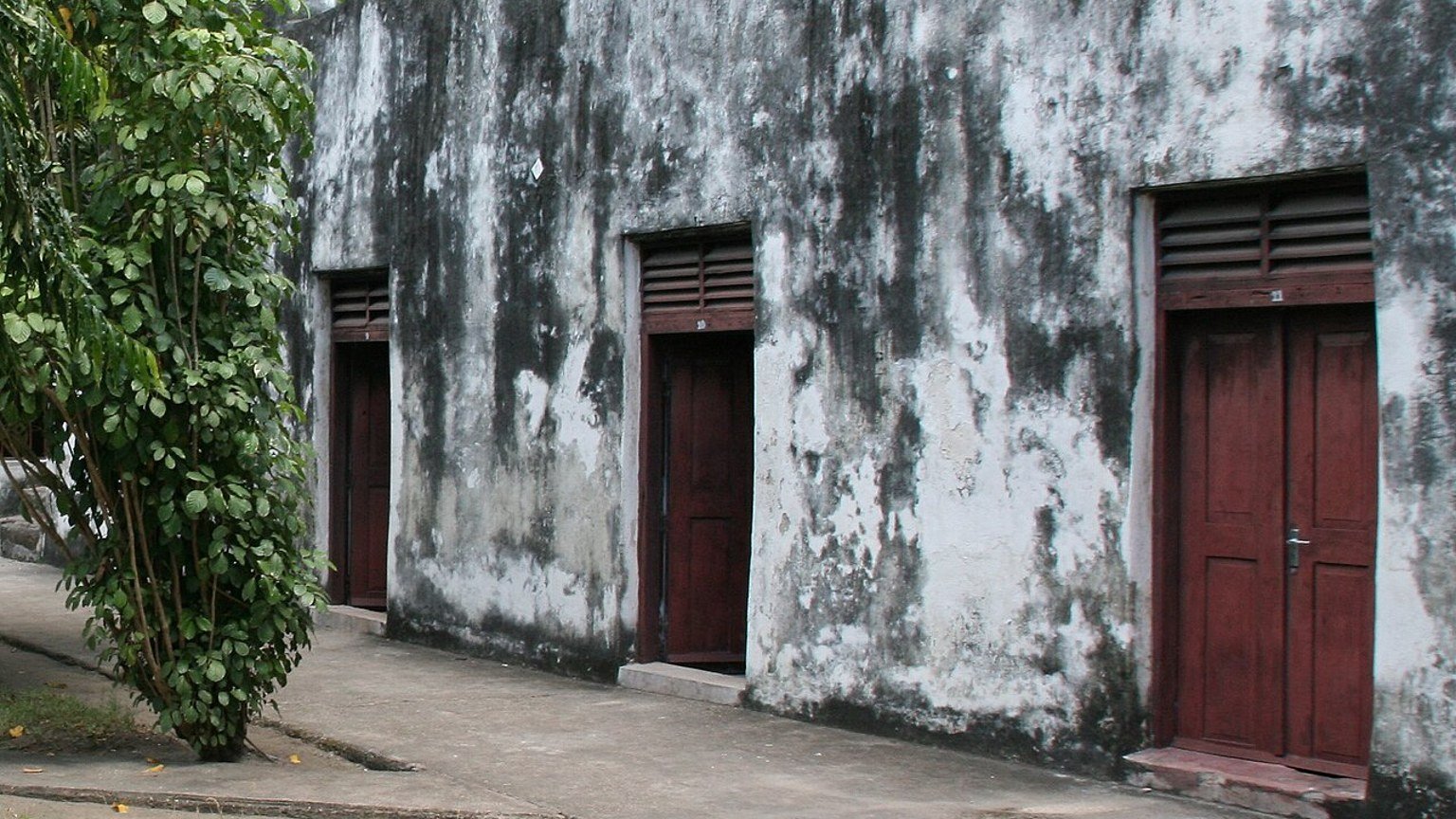 Bagamoyo in solitaria: storia swahili, rovine e costa della Tanzania
