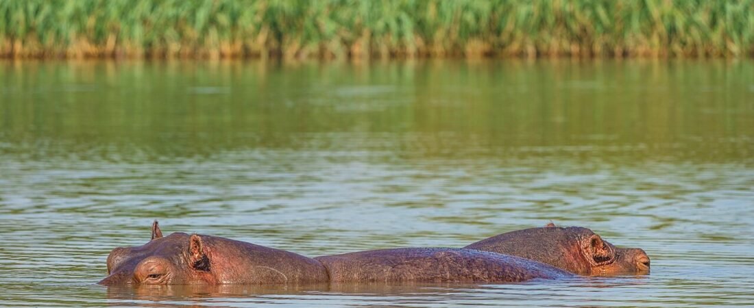 Bahir Dar in solitaria: lago Tana, cascate e chiese dellu2019Etiopia