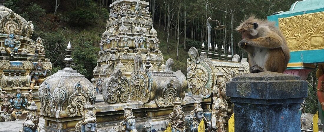 Bandarawela in solitaria: templi, treni e colline dello Sri Lanka