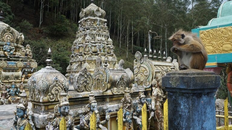 Bandarawela in solitaria: templi, treni e colline dello Sri Lanka
