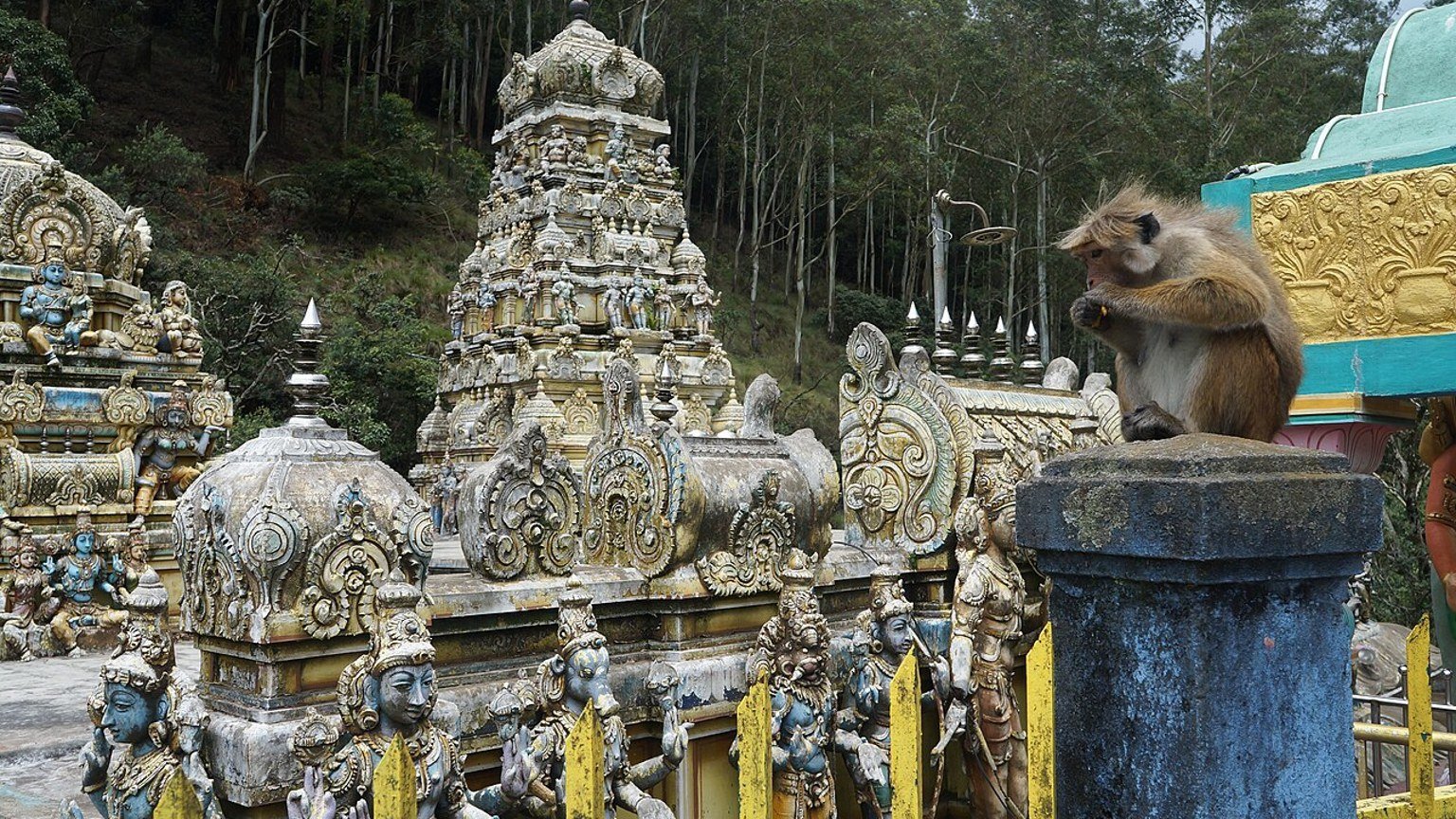 Bandarawela in solitaria: templi, treni e colline dello Sri Lanka