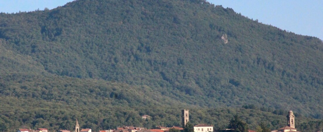 Castel San Niccolò in solitaria: guida tra C e territorio