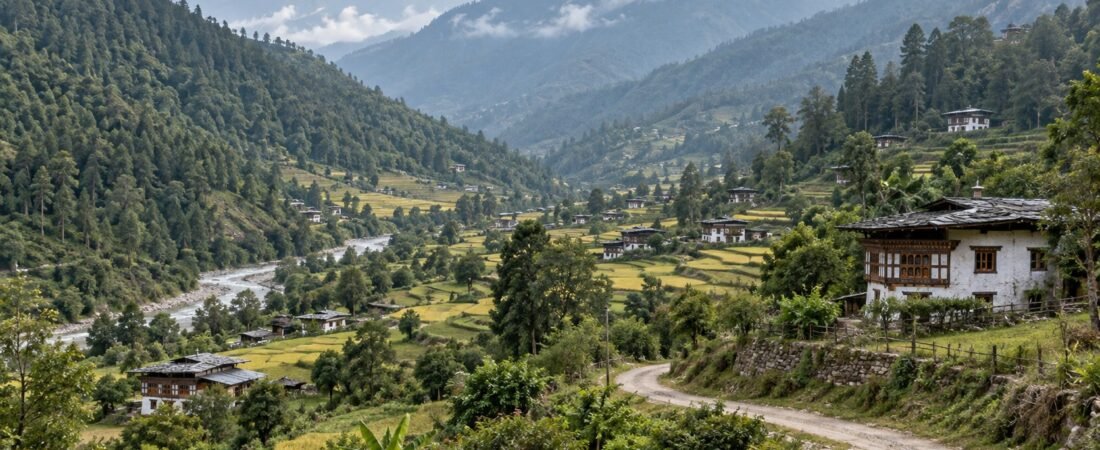 Dagana in solitaria: guida pratica
