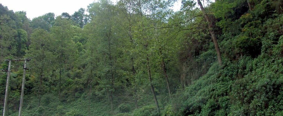 Dhulikhel in solitaria: montagne, sentieri e valli del Nepal