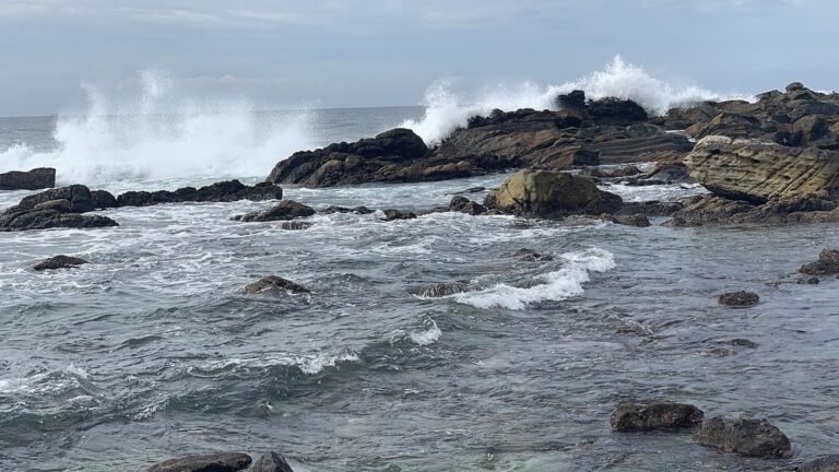 Dikwella in solitaria: spiagge, barche e costa meridionale dello Sri Lanka