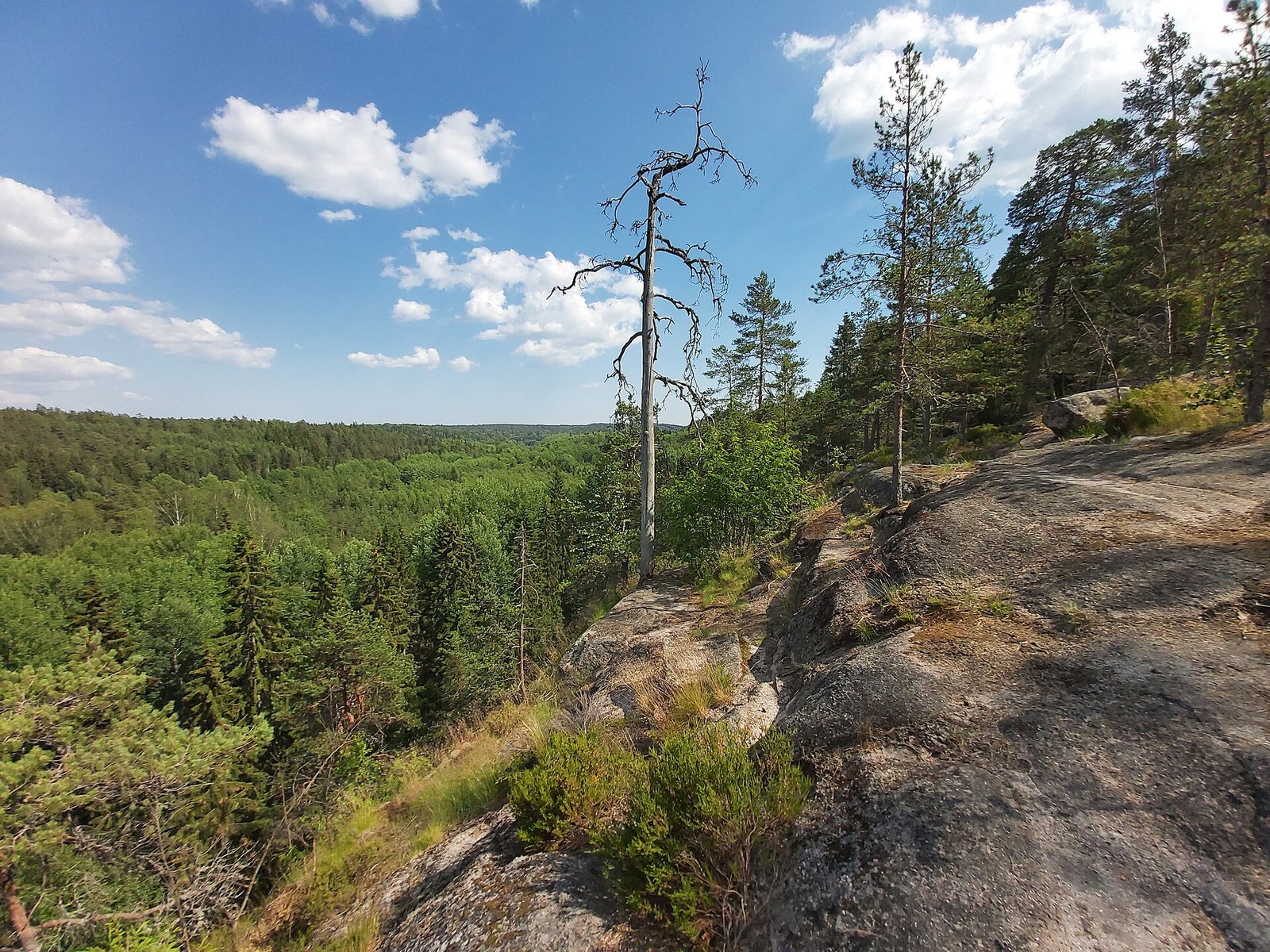 Paesaggio del Parco Nazionale di Nuuksio a Espoo