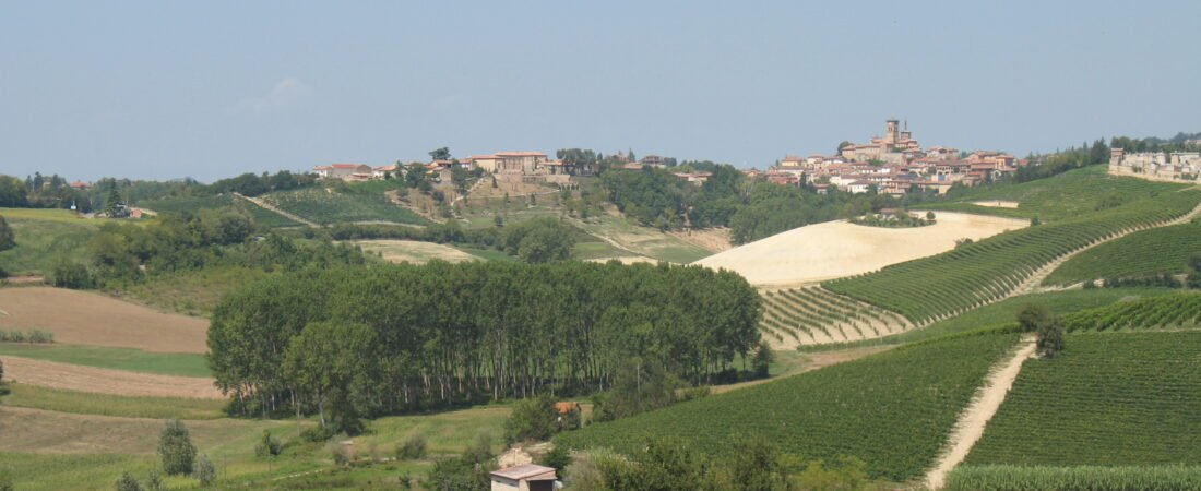 Grazzano Badoglio in solitaria: guida tra Abbazia di Grazzano Badoglio e territorio