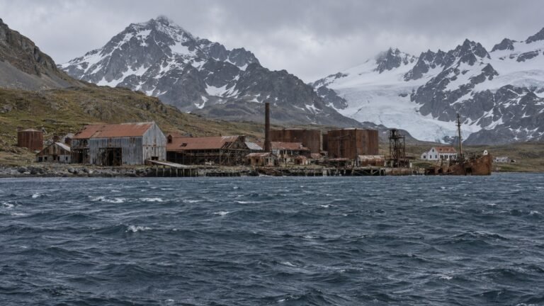Grytviken in solitaria: natura estrema e storia della Georgia del Sud