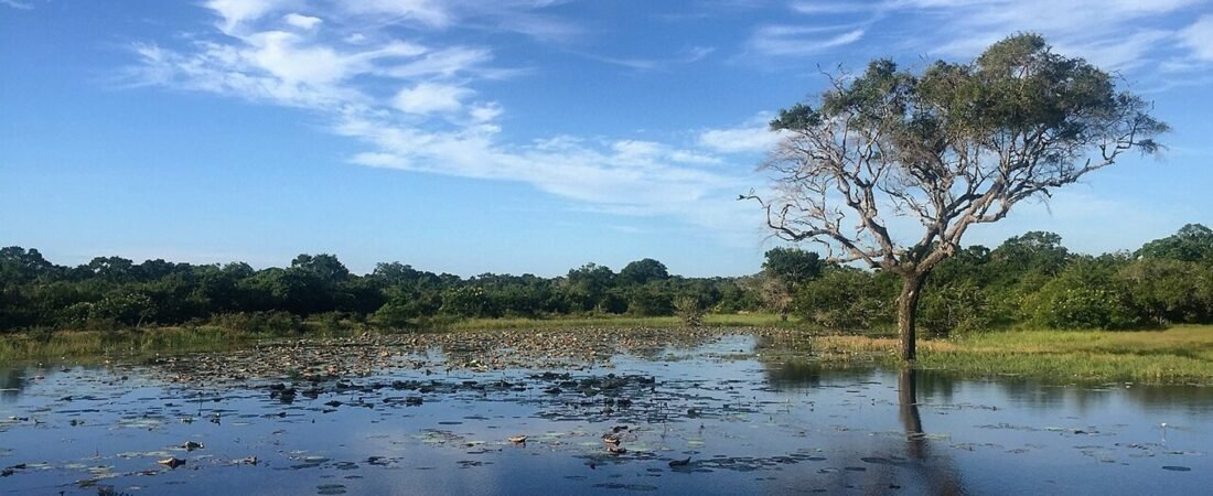 Hambantota in solitaria: vento, costa e paesaggi del sud dello Sri Lanka