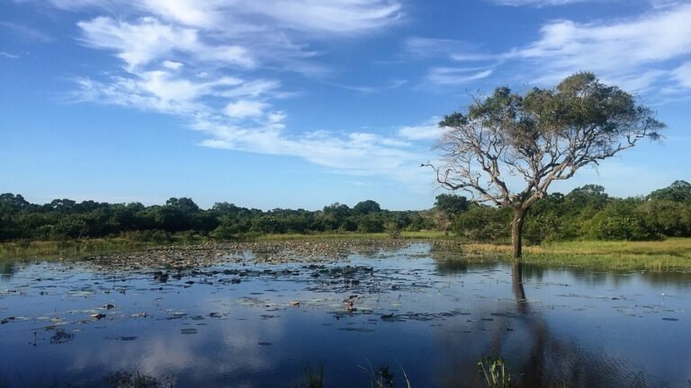 Hambantota in solitaria: vento, costa e paesaggi del sud dello Sri Lanka