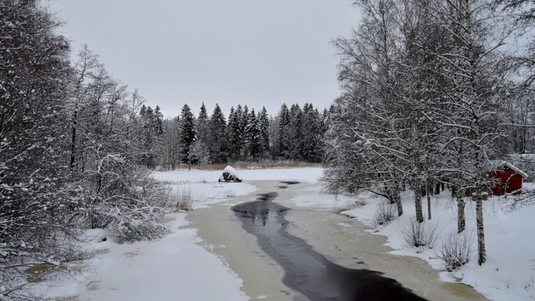 Hamina in solitaria: guida tra fortezza, mare e storia finlandese