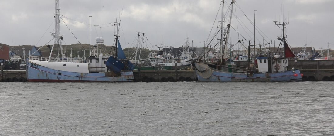 Hvide Sande in solitaria: mare, fiordo e dune