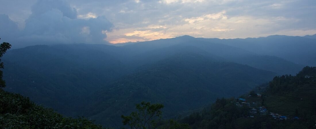Ilam in solitaria: tu00e8, colline e natura del Nepal orientale