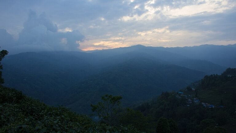 Ilam in solitaria: tu00e8, colline e natura del Nepal orientale