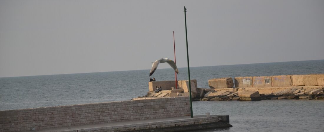 Migliori esperienze a Bari: Guida alle Attività Imperdibili
