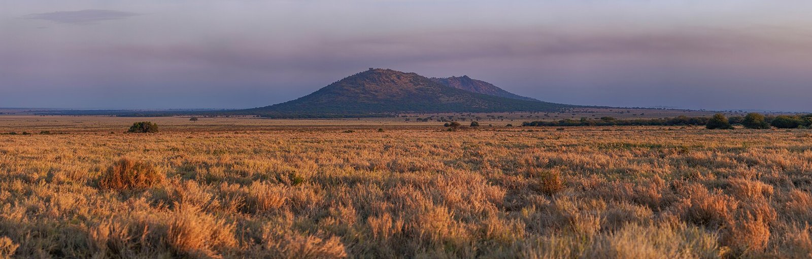 Tour e biglietti per il Serengeti Safari