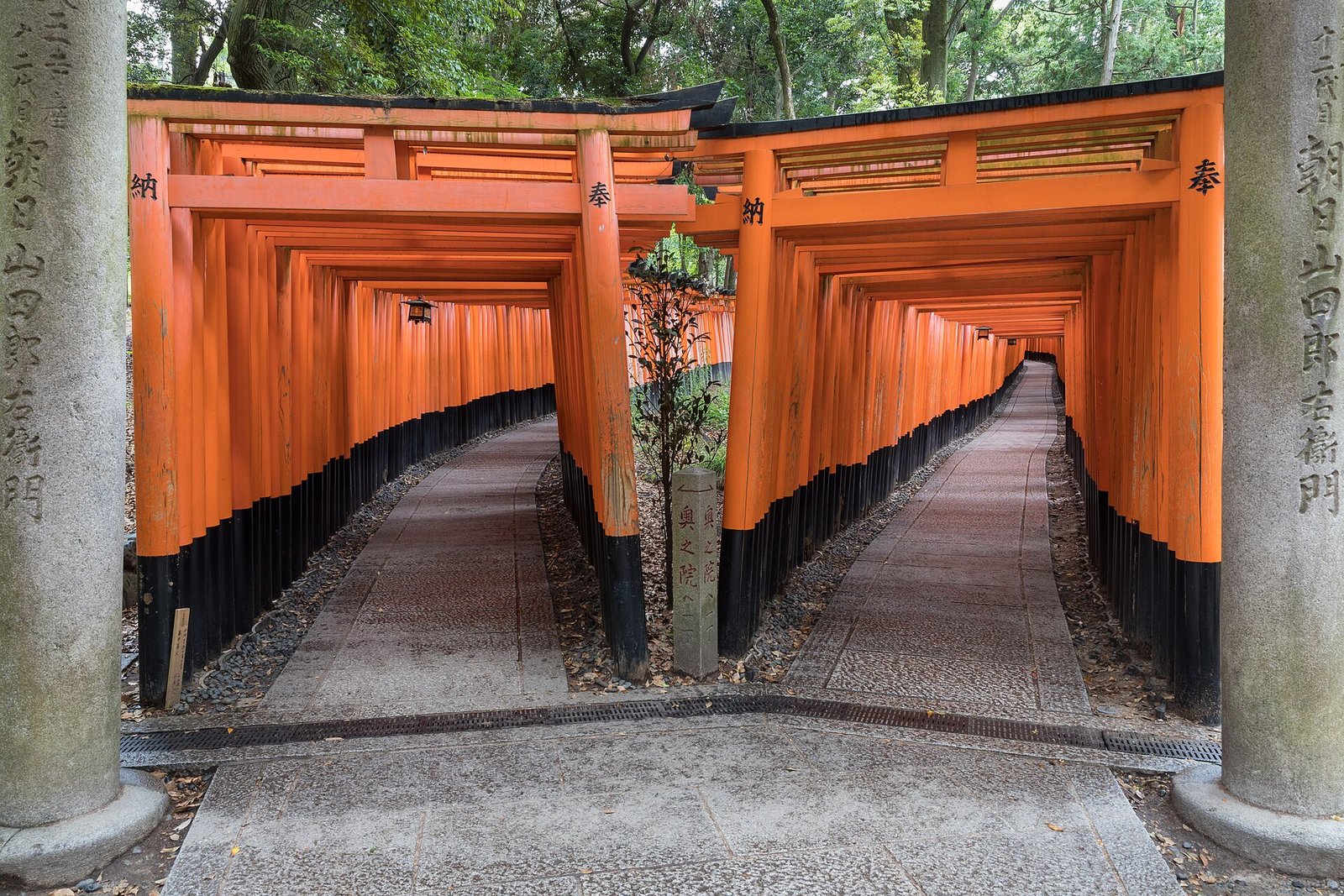 Tour e biglietti per il Santuario di Fushimi Inari