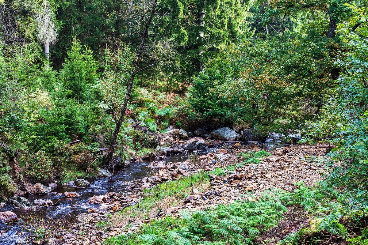 Paesaggio delle High Fens vicino a Eupen