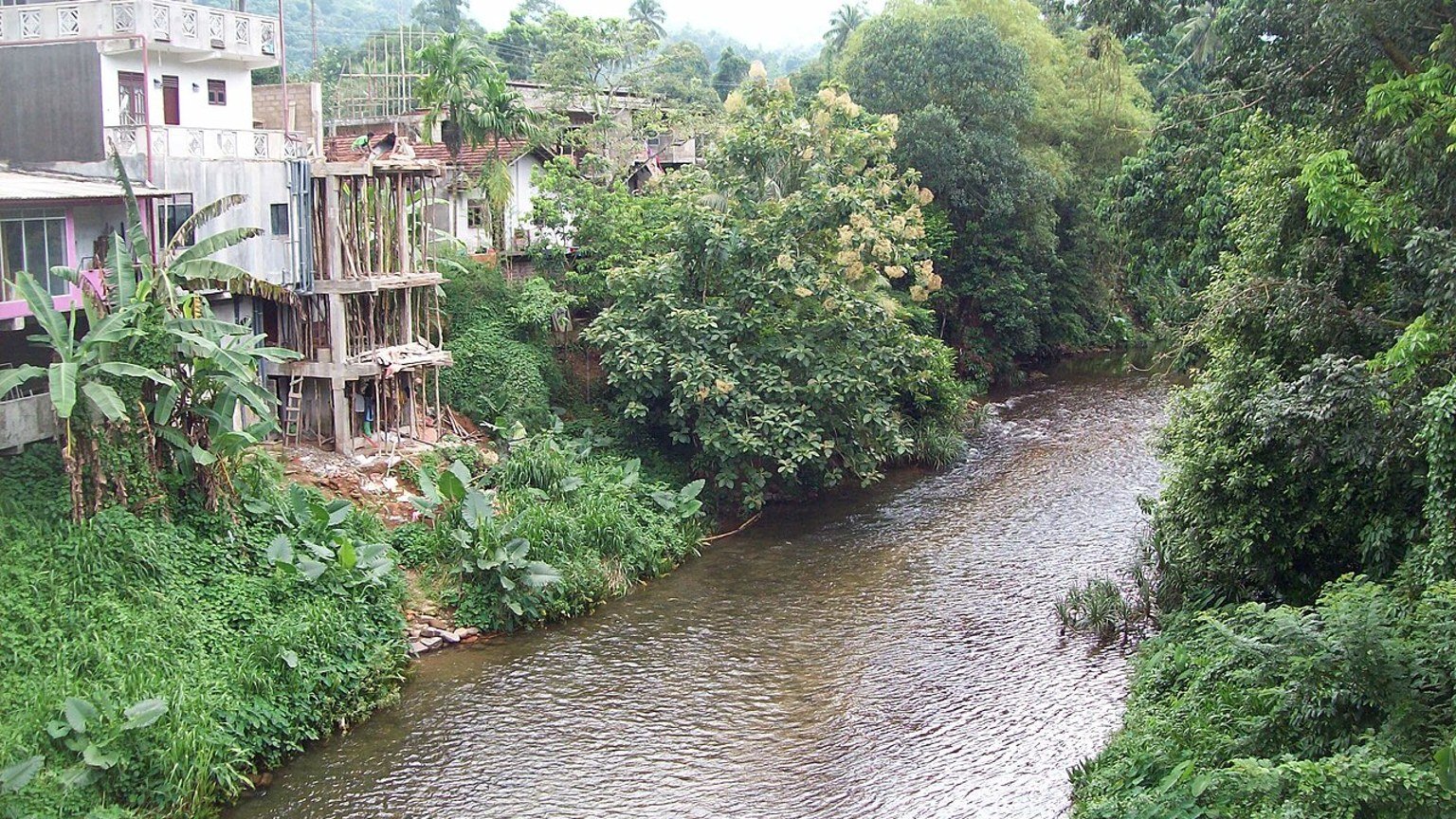 Kitulgala: natura e camminata