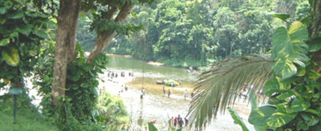 Kitulgala in solitaria: rafting, foresta e fiumi dello Sri Lanka