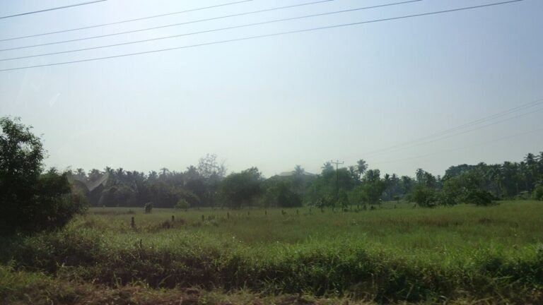 Kurunegala in solitaria: colline, templi e strade dello Sri Lanka