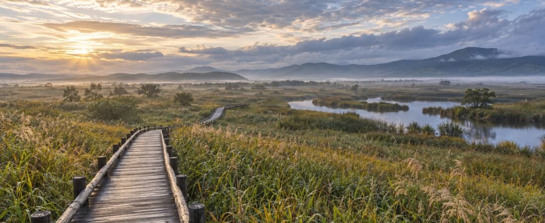 Kushiro in solitaria: cervi, templi e sentieri tra storia e natura