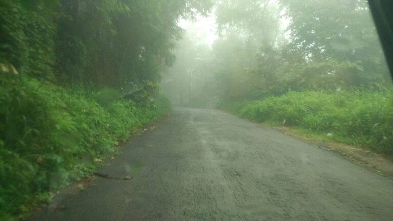 Malappuram in solitaria: colline, cultura e Kerala del nord